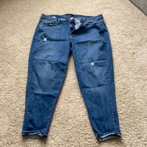 Lane Bryant Boyfriend jeans size 26